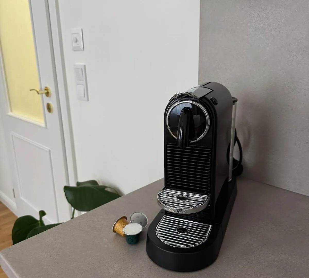 Apartment With Free Garage Parking Praha